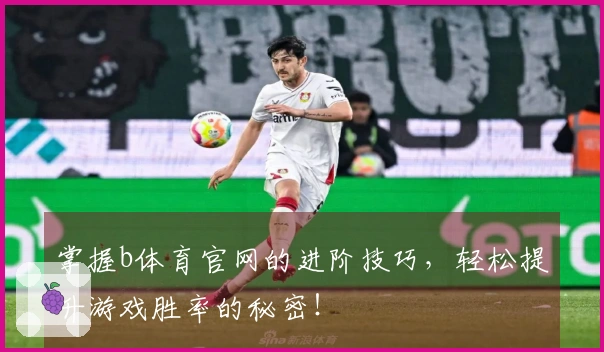 掌握b体育官网的进阶技巧，轻松提升游戏胜率的秘密！